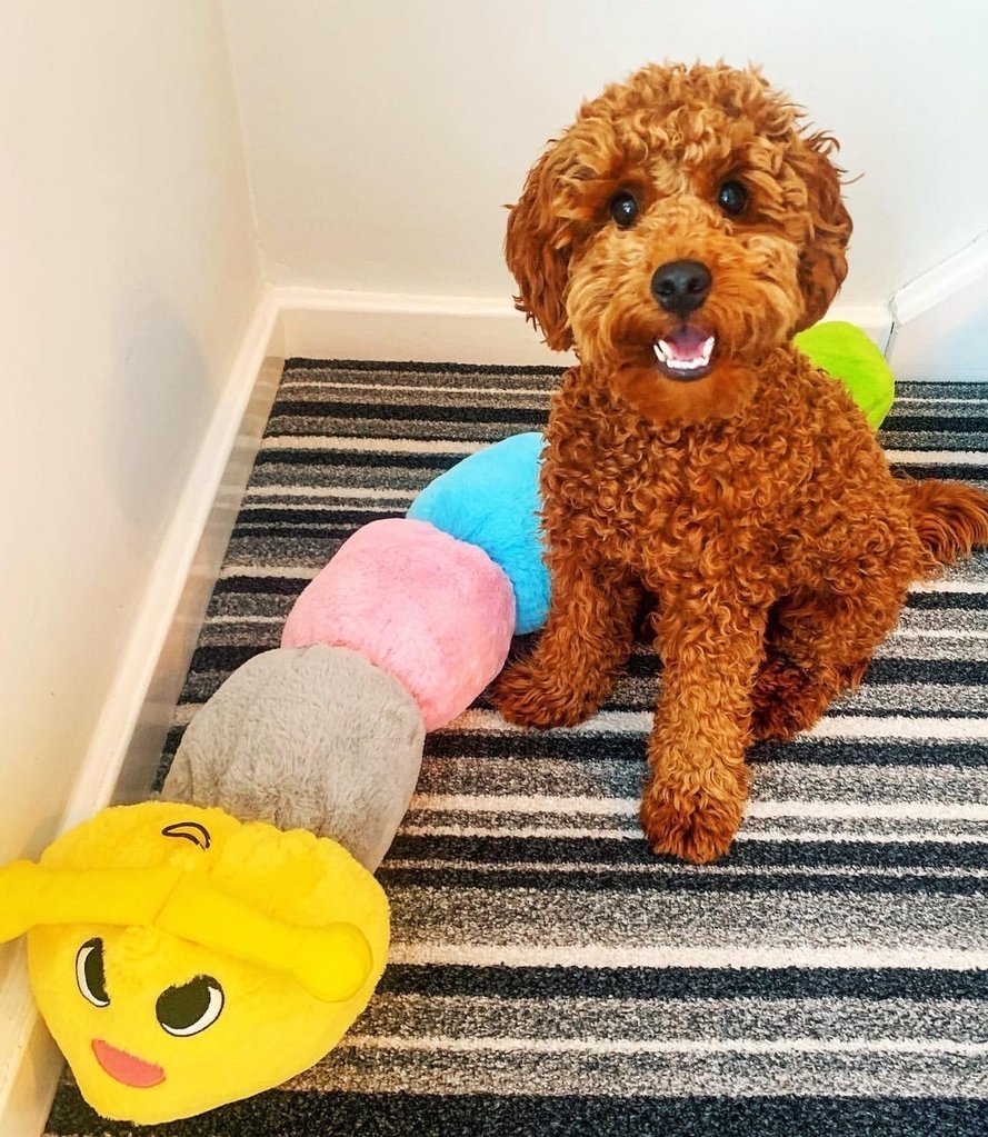 Gor Hugs Caterpillar Dog Toy with Squeaker Mommy