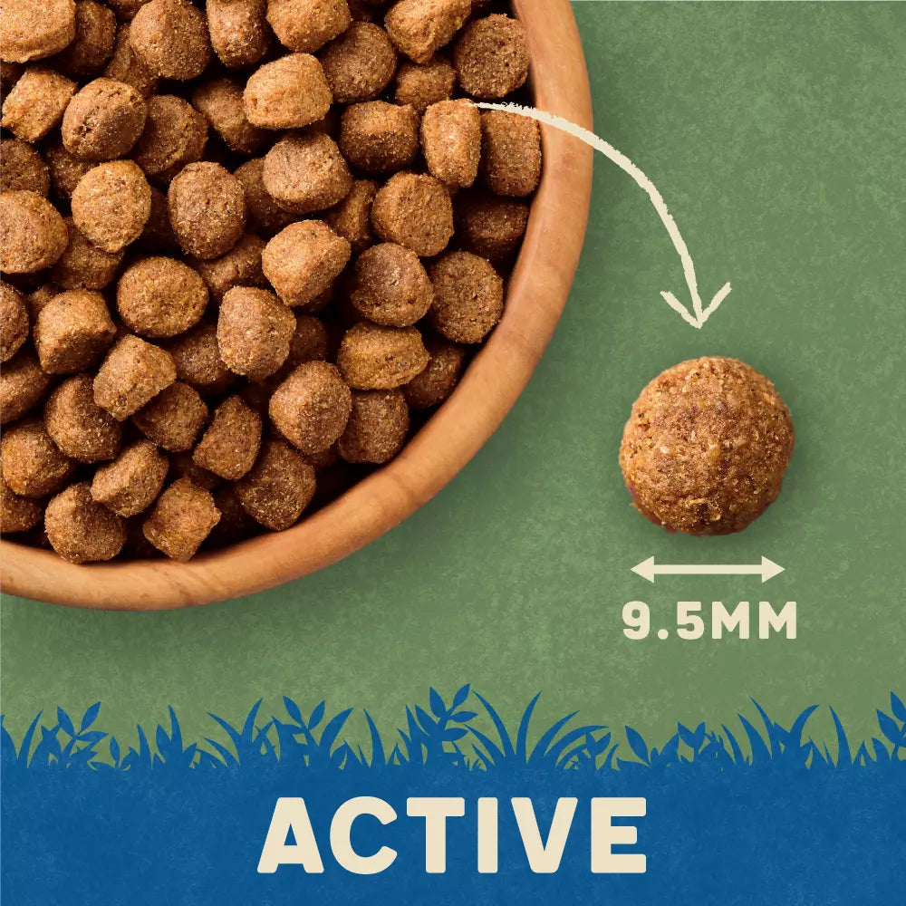 Harringtons Active Rich in Lamb & Rice Adult Dry Dog Food 15kg