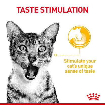 Royal Canin Adult Sensory Smell Taste Feel Chunks In Gravy Multipack 12 x 85g
