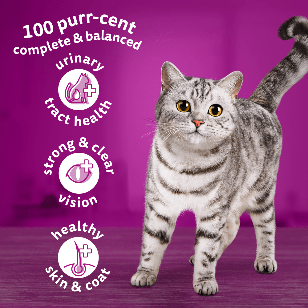 Whiskas 1+ Adult with Chicken Dry Cat Food