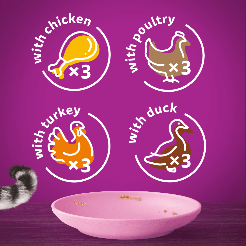 Whiskas Kitten 2-12 Months Poultry Feasts in Jelly Wet Kitten Food 12 x 85g
