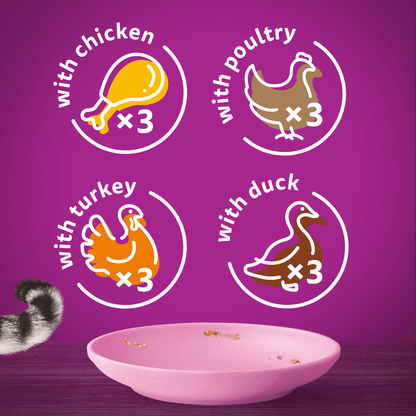Whiskas Kitten 2-12 Months Poultry Feasts in Jelly Wet Kitten Food 12 x 85g