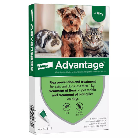 Advantage 40 Spot On Flea Control Small Dogs, Cats and Rabbits (<4kg) - 4 Pack