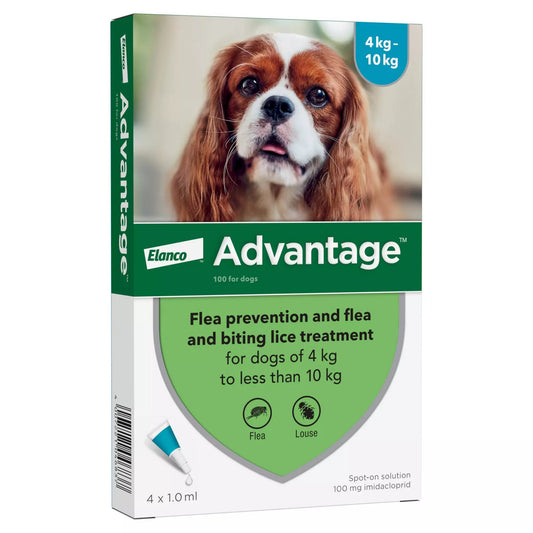 Advantage 100 Spot On Flea Control Medium Dog (4-10kg) - 4 Pack