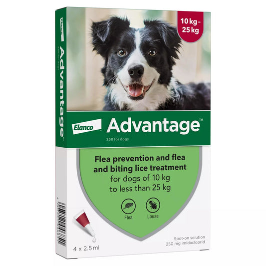 Advantage 250 Spot On Flea Control Large Dog (10-25kg) - 4 Pack