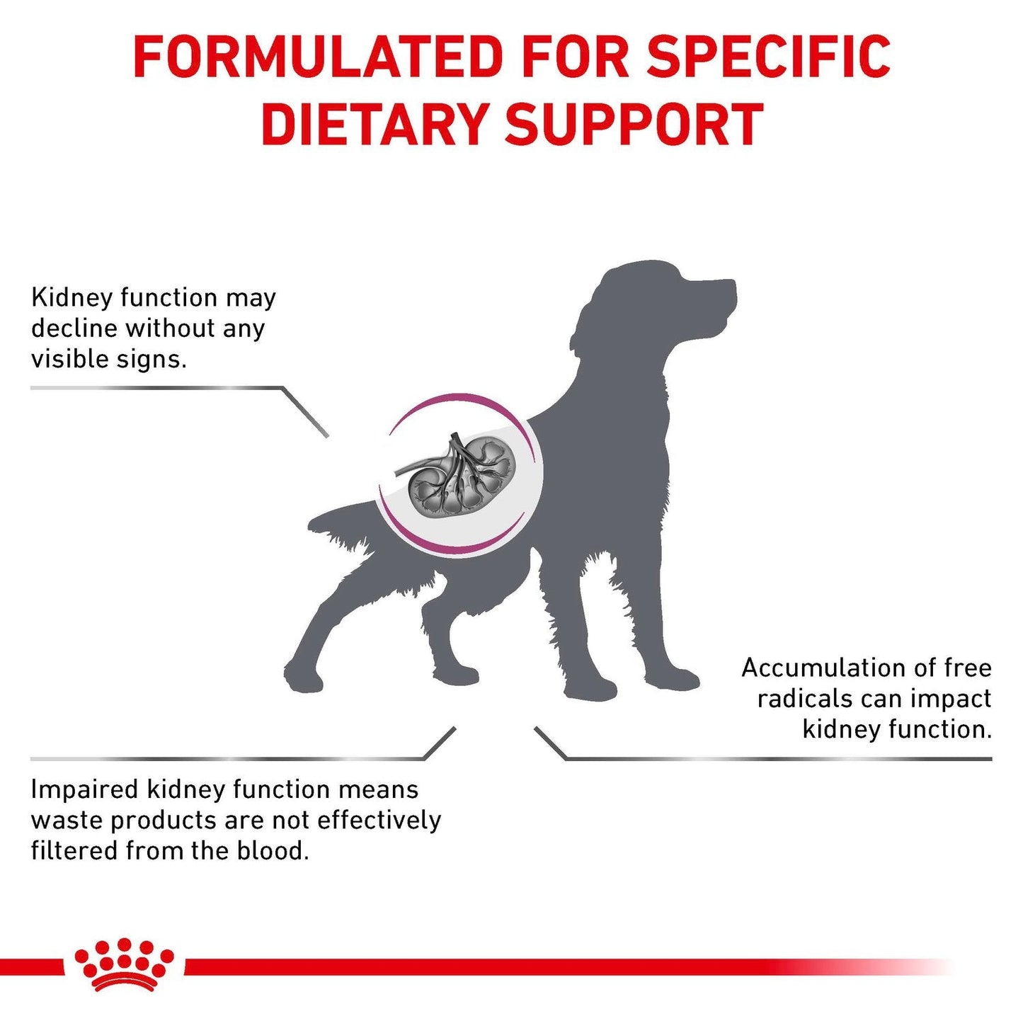 Royal Canin Early Renal Dry Dog Food 2kg