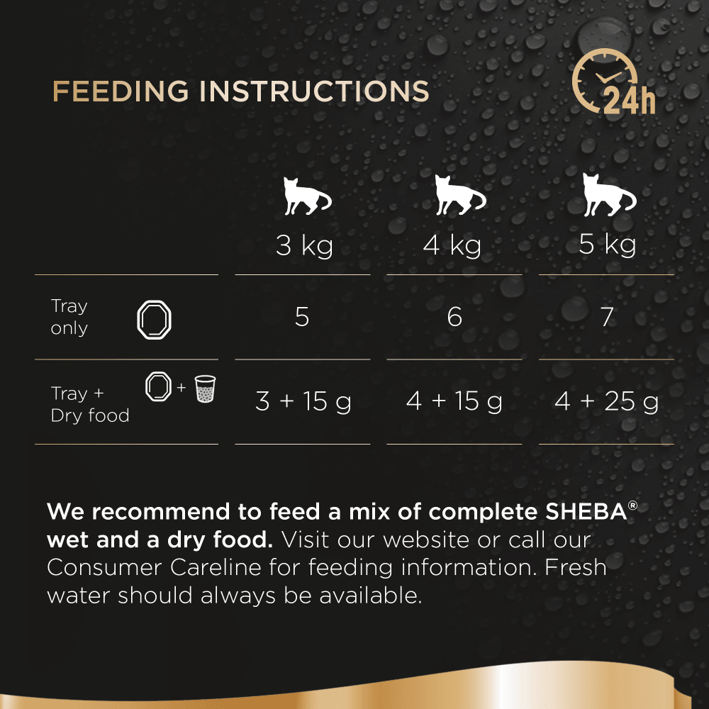 Sheba Perfect Portions with Chicken in Loaf Wet Cat Food 3 x (2 x 37.5g)