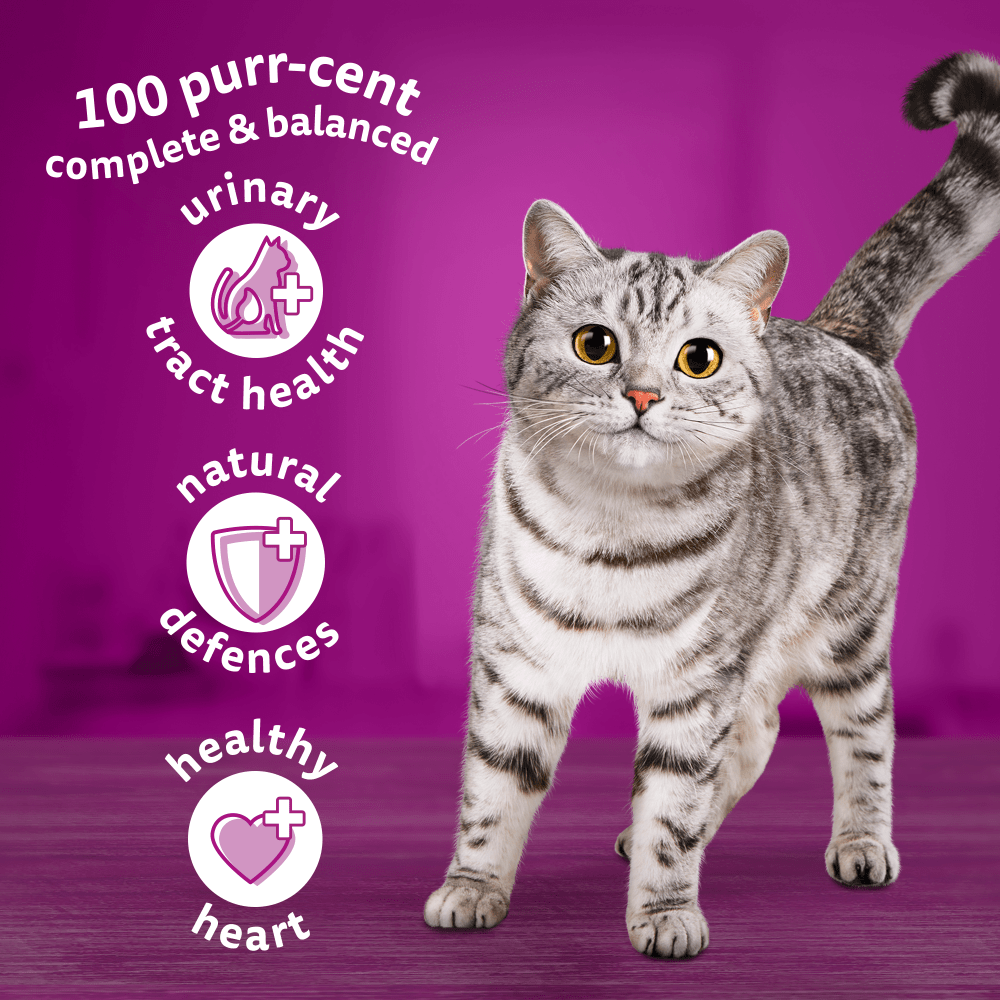 Whiskas Senior 7+ with Chicken Dry Cat Food 1.9kg