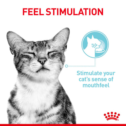 Royal Canin Adult Sensory Smell Taste Feel Chunks In Gravy Multipack 12 x 85g