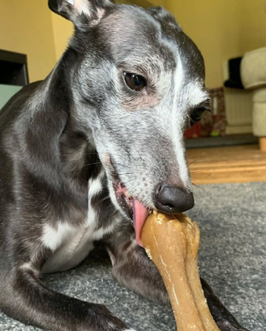 Whimzees Rice Bone Dental Treat for Large Dogs 9 pieces