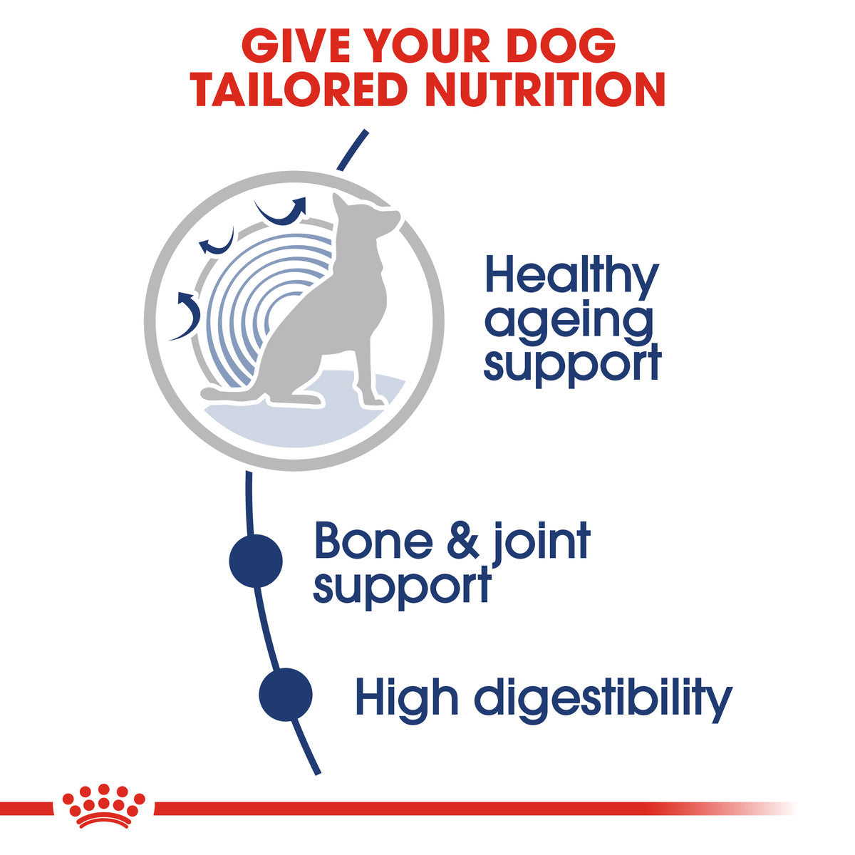 Royal Canin Senior Maxi Ageing 8+ Chunks In Gravy Wet Dog Food