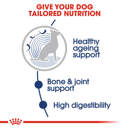 Royal Canin Senior Maxi Ageing 8+ Chunks In Gravy Wet Dog Food