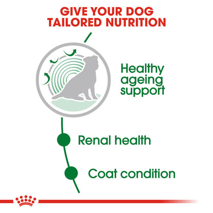 Royal Canin Senior Mini Ageing 12+ Wet Dog Food