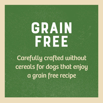 James Wellbeloved Grain Free Adult Turkey in Gravy Wet Dog Food 12 x 100g