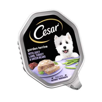 Cesar Garden Terrine with Juicy Lamb/Turkey