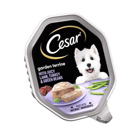 Cesar Garden Terrine with Juicy Lamb/Turkey
