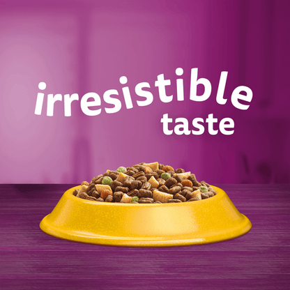 Whiskas 1+ Adult with Chicken Dry Cat Food