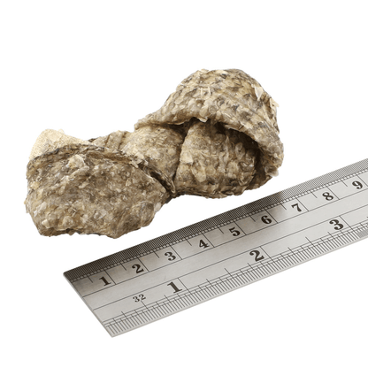 Fish4Dogs Dental Sea Jerky Fish Knots Dog Treats 100g