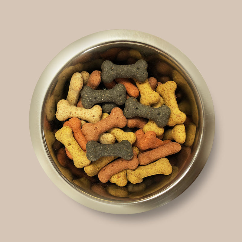 Pointer Assorted Mini Bones Dog Treats 10kg
