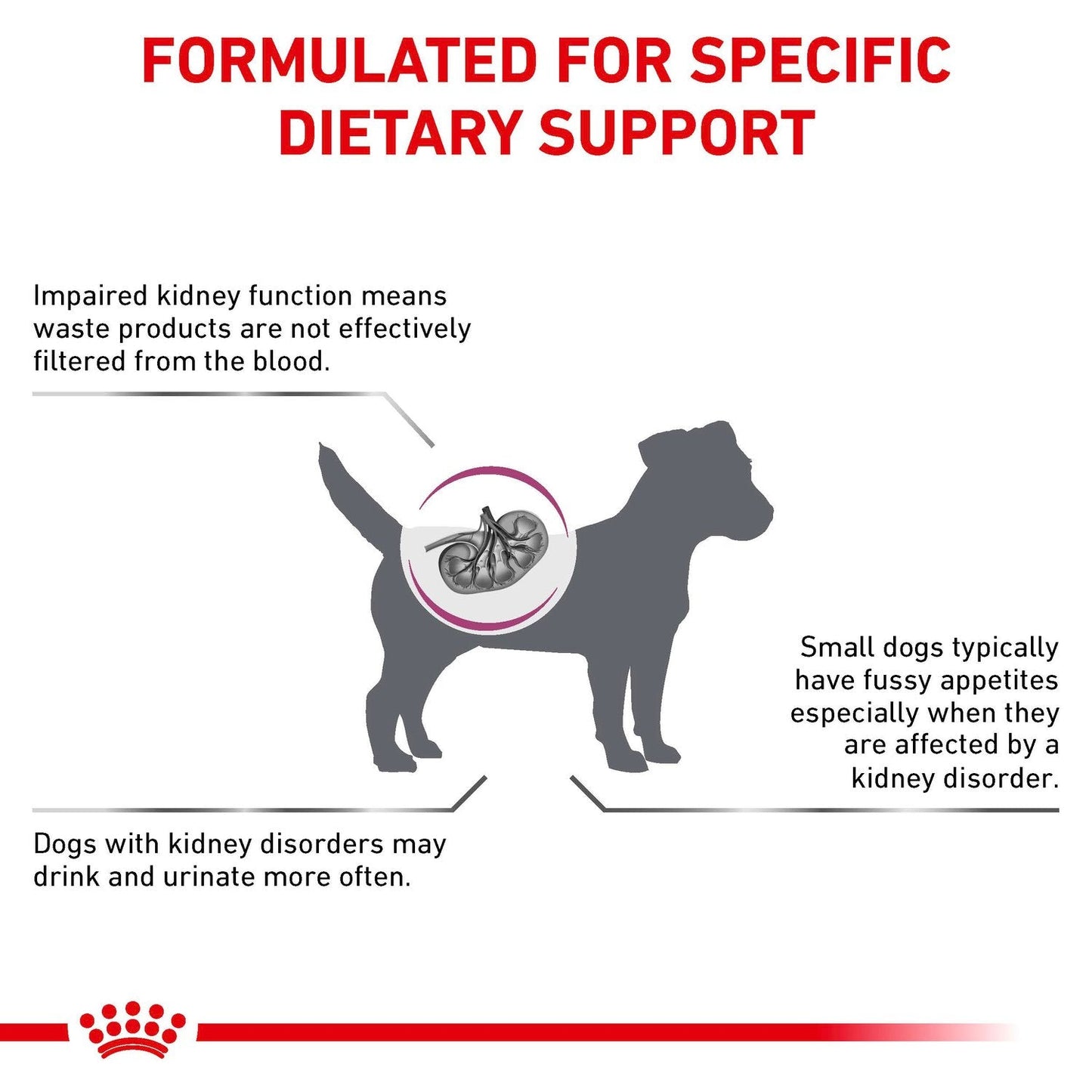 Royal Canin Renal Small Dog Dry Dog Food