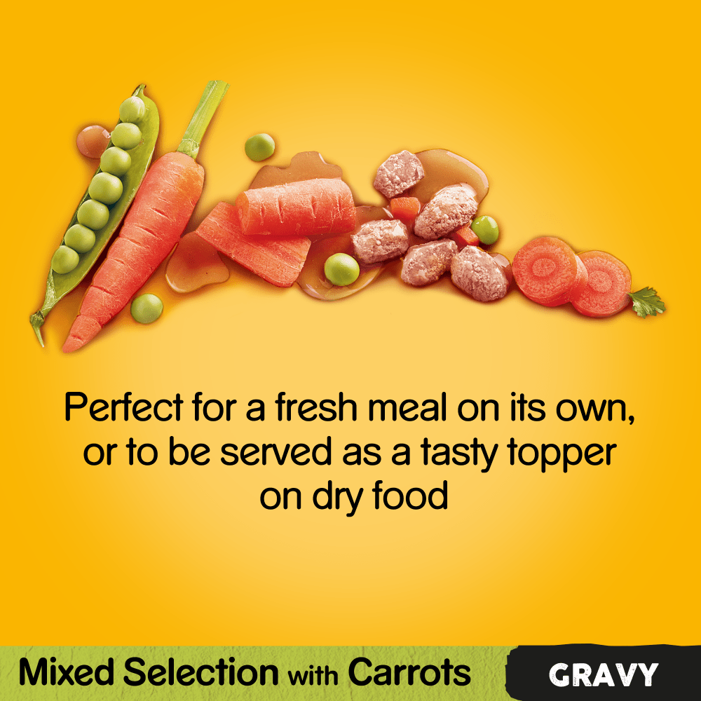 Pedigree Mixed Selection with in Gravy Wet Dog Food 40 x 100g
