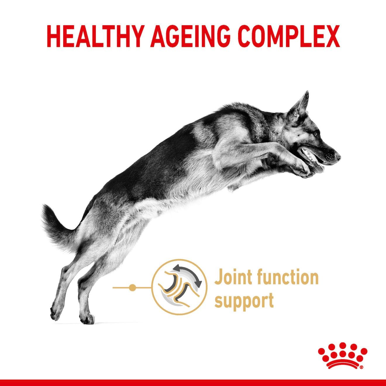 Royal Canin Mature German Shepherd 5+ Dry Dog Food 12kg