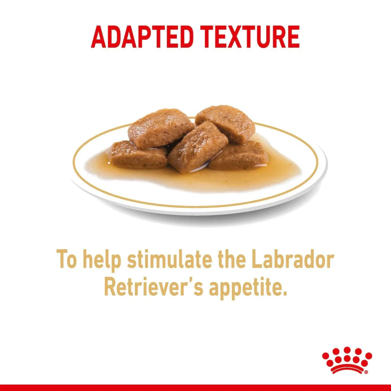 Royal Canin Adult Labrador Retriever Chunks In Gravy Wet Dog Food