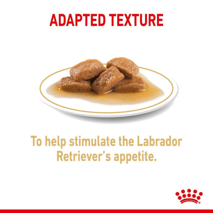 Royal Canin Adult Labrador Retriever Chunks In Gravy Wet Dog Food