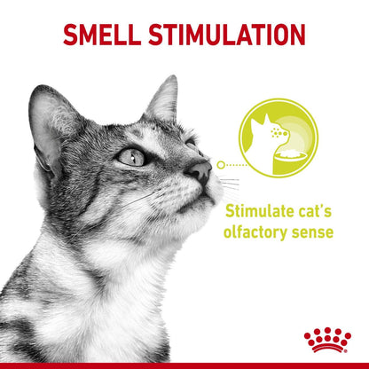 Royal Canin Adult Sensory Smell Chunks In Jelly Wet Cat Food