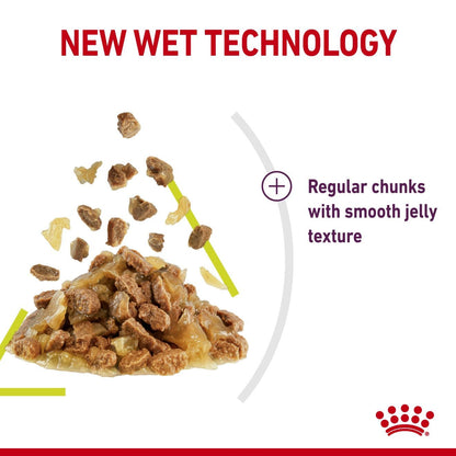 Royal Canin Adult Sensory Smell Chunks In Jelly Wet Cat Food