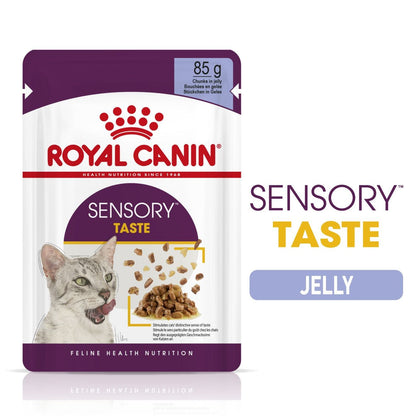 Royal Canin Adult Sensory Taste Chunks In Jelly Wet Cat Food