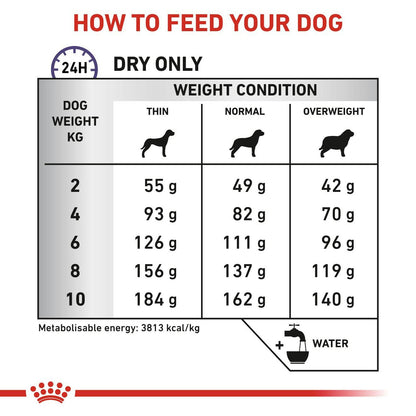 Royal Canin Dental Small Dry Dog Food 3.5kg