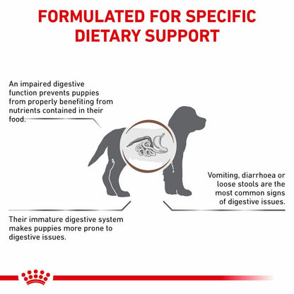 Royal Canin Gastrointestinal Puppy Dry Dog Food