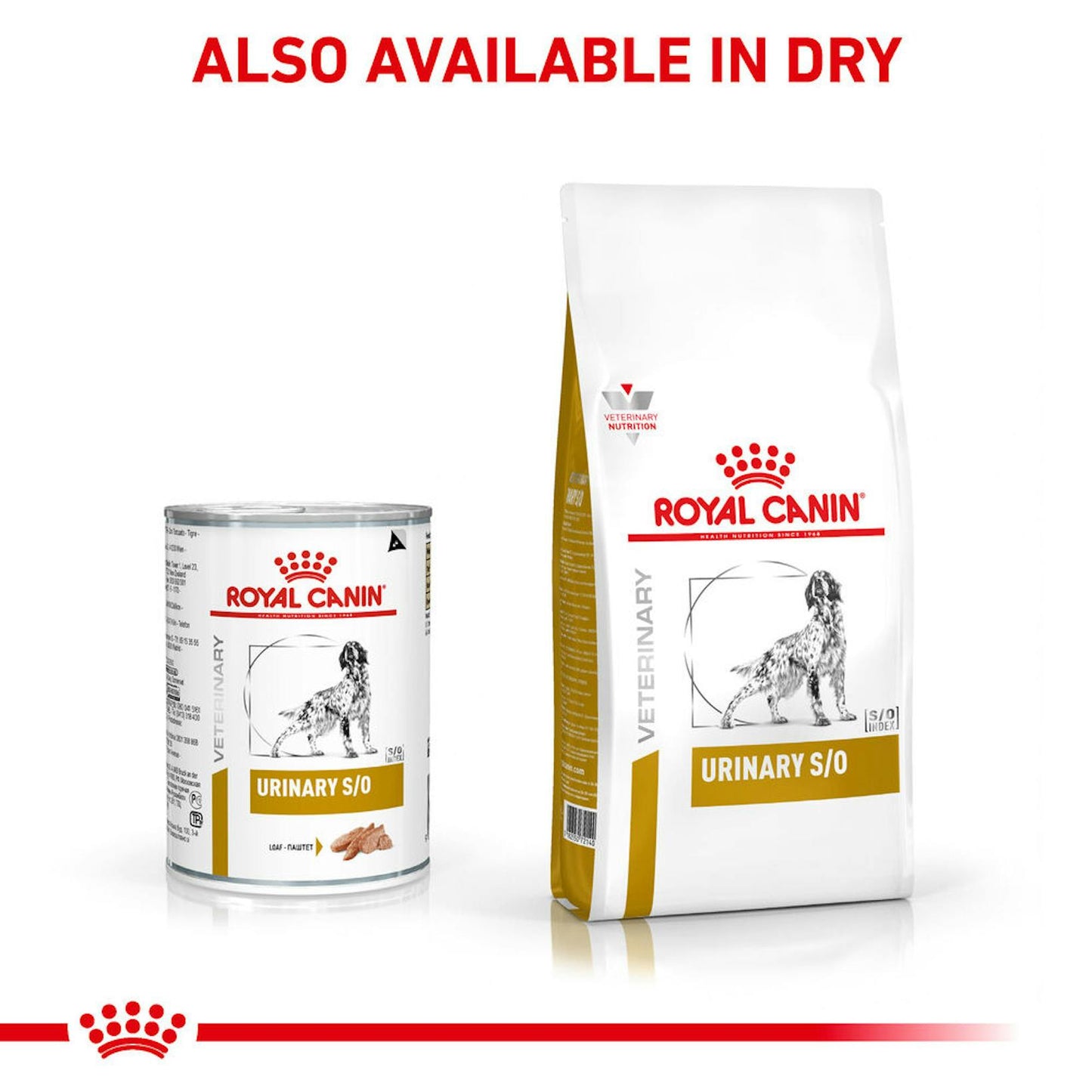 Royal Canin Urinary S/O Loaf Wet Dog Food 410g