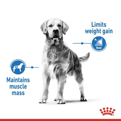Royal Canin Adult Maxi Light Weight Care Dry Dog Food 12kg