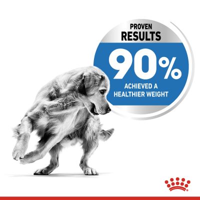 Royal Canin Adult Maxi Light Weight Care Dry Dog Food 12kg