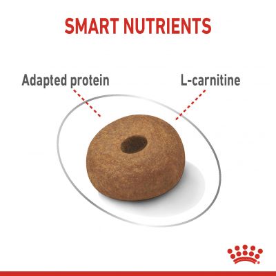 Royal Canin Adult Maxi Light Weight Care Dry Dog Food 12kg