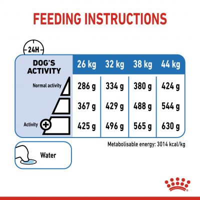 Royal Canin Adult Maxi Light Weight Care Dry Dog Food 12kg