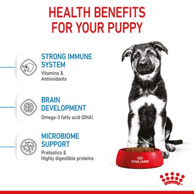 Royal Canin Puppy Maxi Dry Dog Food