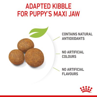 Royal Canin Puppy Maxi Dry Dog Food