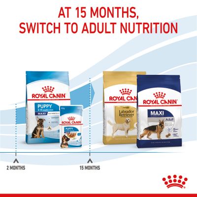 Royal Canin Puppy Maxi Dry Dog Food
