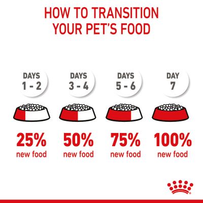 Royal Canin Puppy Maxi Dry Dog Food