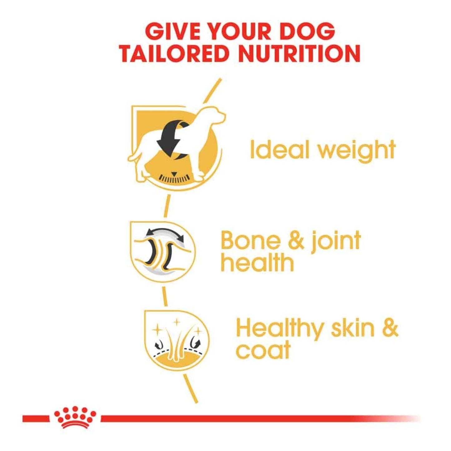 Royal Canin Adult 5+ Labrador Retriever Dry Dog Food 12kg