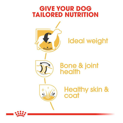Royal Canin Adult 5+ Labrador Retriever Dry Dog Food 12kg