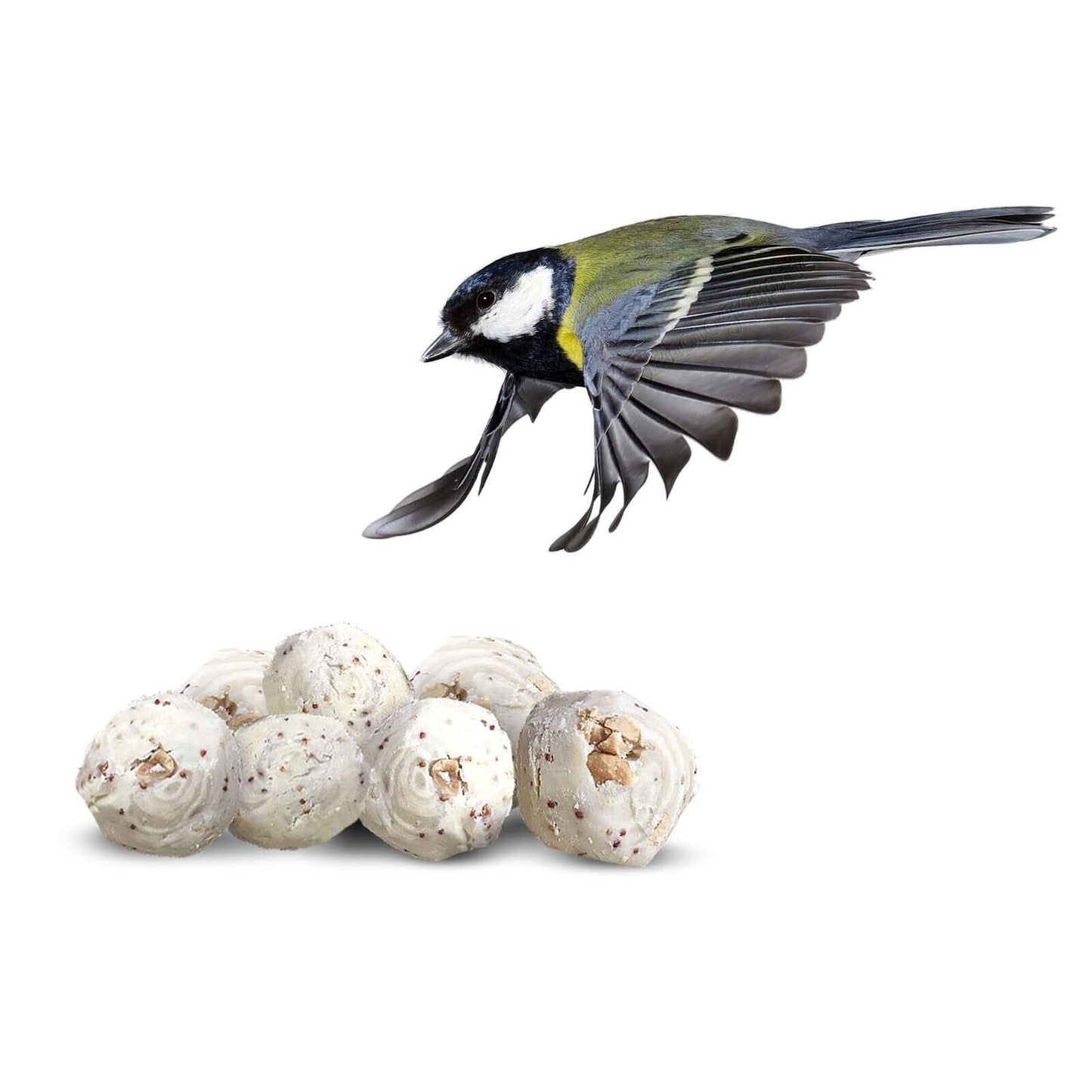 Suet To Go Super Premium Insect Flavour Suet Balls Bird Food 150 x 85g