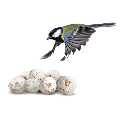 Suet To Go Super Premium Insect Flavour Suet Balls Bird Food 150 x 85g