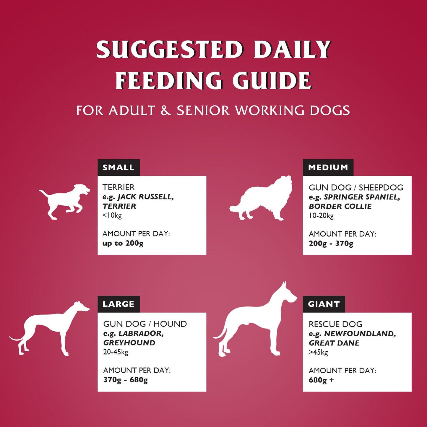 Dr John Silver with Beef and Vegetables Dry Dog Food 15kg