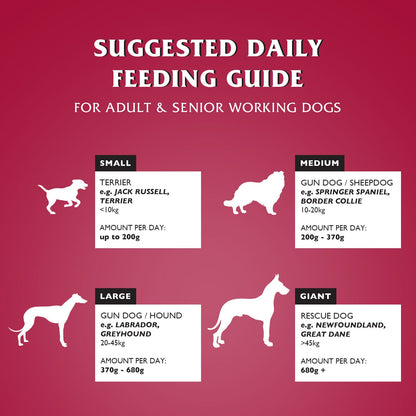 Dr John Silver with Beef and Vegetables Dry Dog Food 15kg