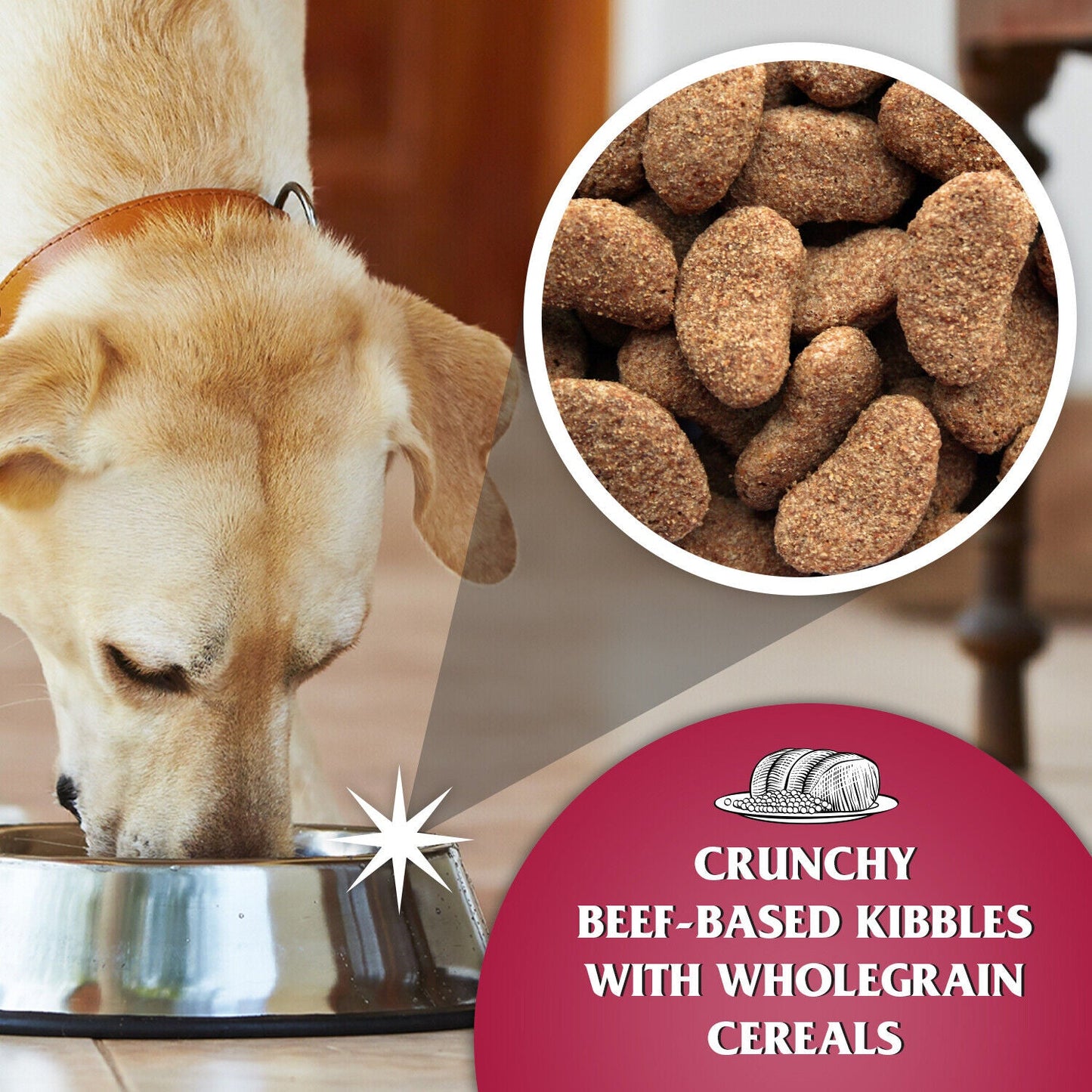 Dr John Silver with Beef and Vegetables Dry Dog Food 15kg