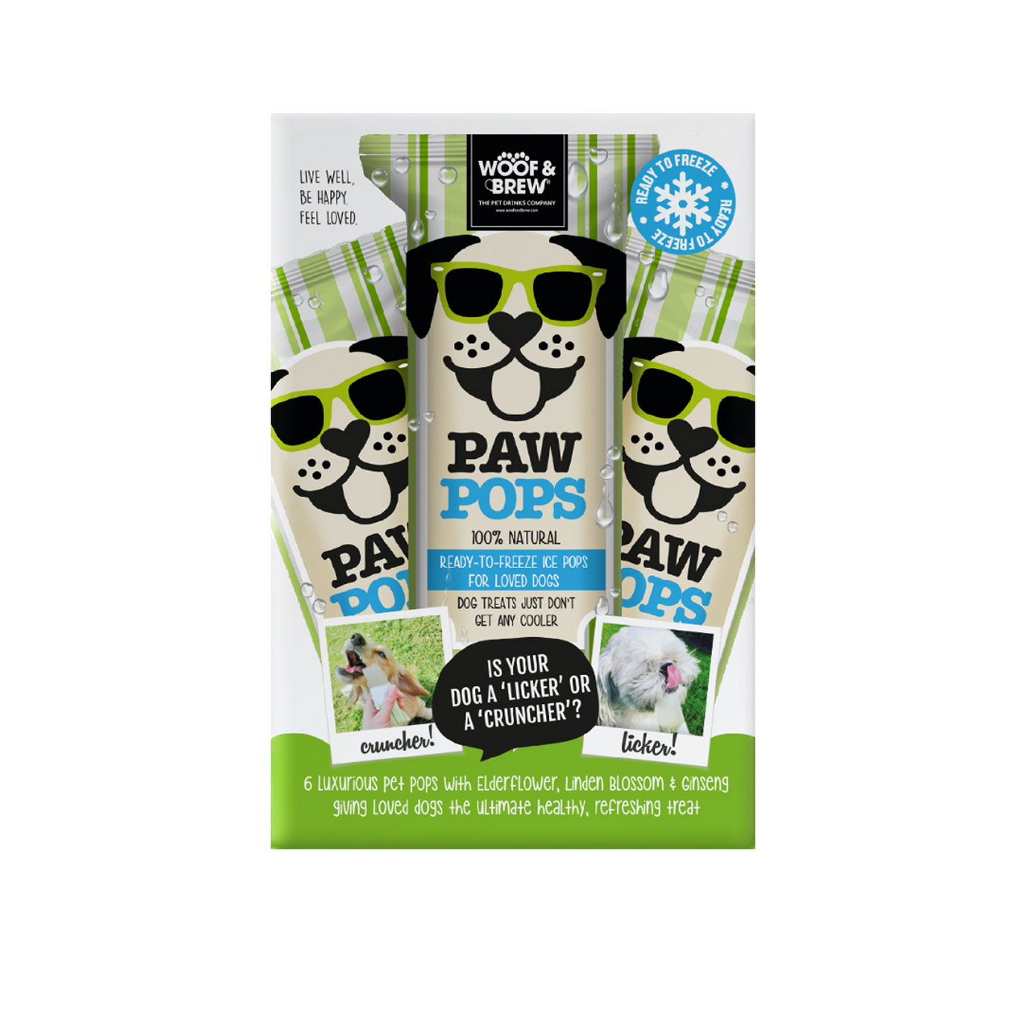 Woof & Brew Paw Pops Ice for Dogs 6 x 50ml